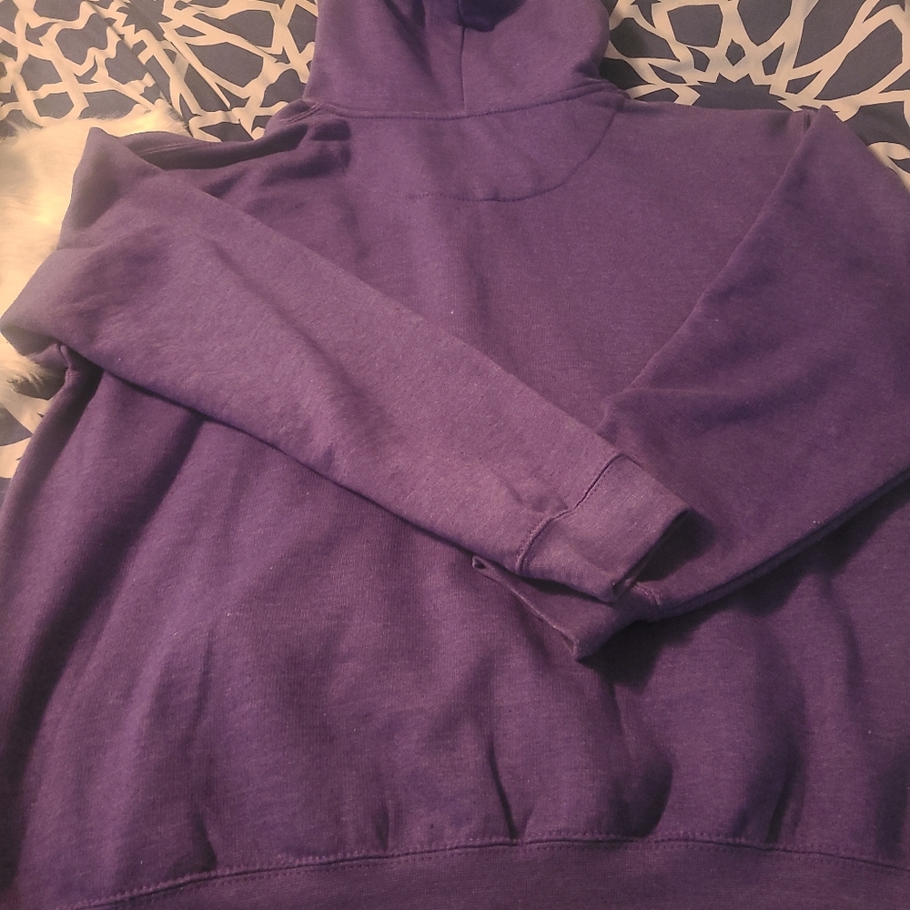 FINAL PRICE!! Hoodie - Picture 4 of 4